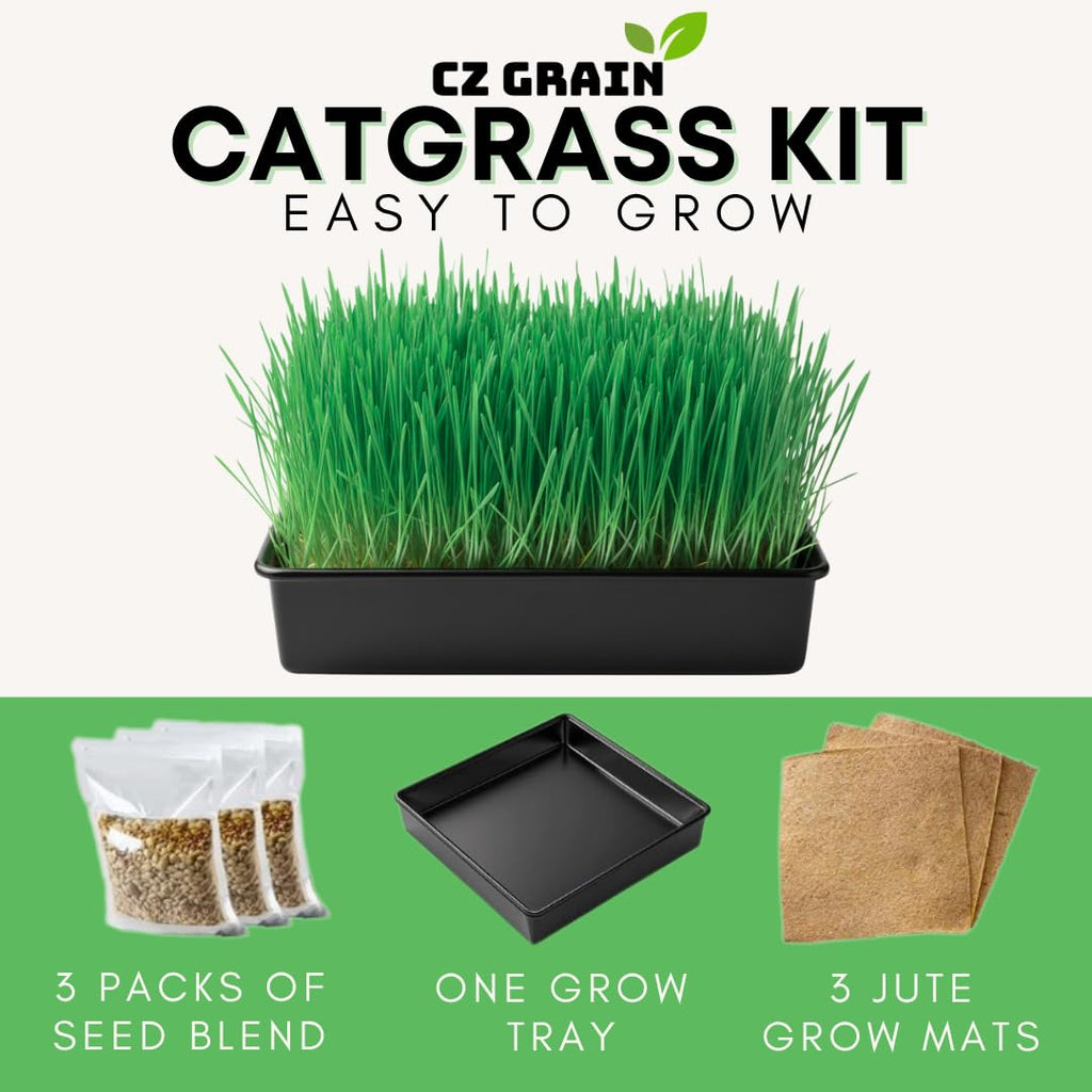 Cat Grass Growing Kit with Organic Seed and Jute Grow Mats Z954