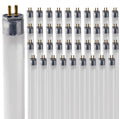 24 Inch 24W 3500K T5 Fluorescent Bulb Pack of 40 O307