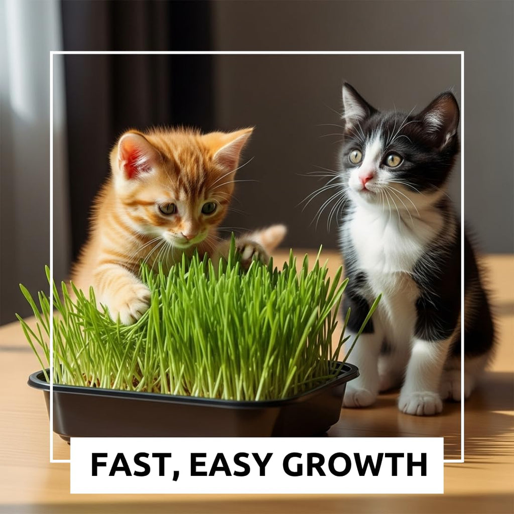 Cat Grass Growing Kit with Organic Seed and Jute Grow Mats Z954