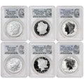 Set of 6 American Silver Morgan and Peace $1 Y862