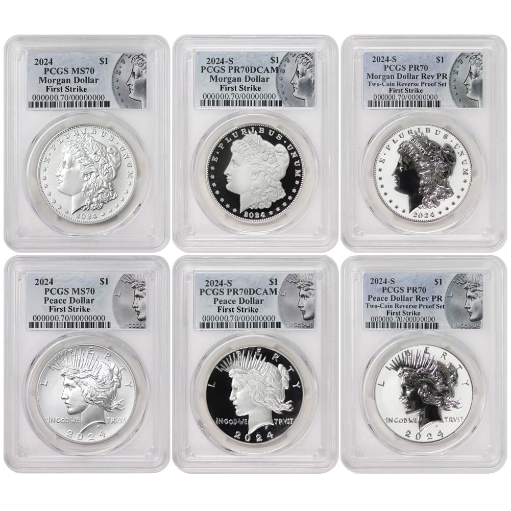 Set of 6 American Silver Morgan and Peace $1 Y862