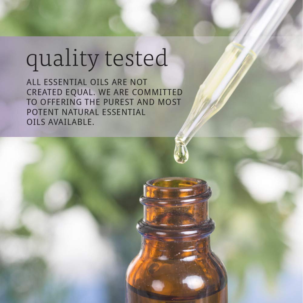 Lavender Oil 4 Fluid Ounce 2 Pack P712543