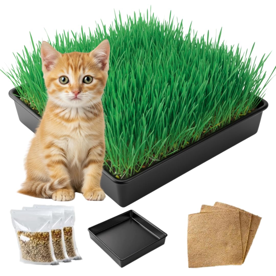 Cat Grass Growing Kit with Organic Seed and Jute Grow Mats Z954