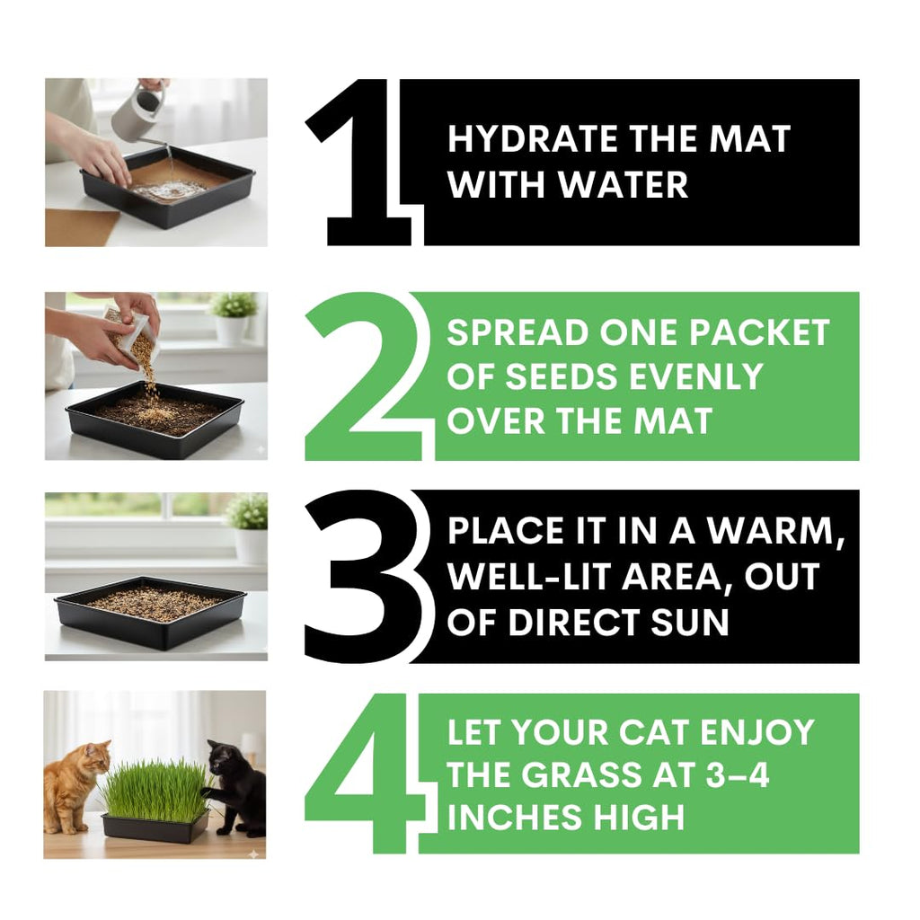 Cat Grass Growing Kit with Organic Seed and Jute Grow Mats Z954