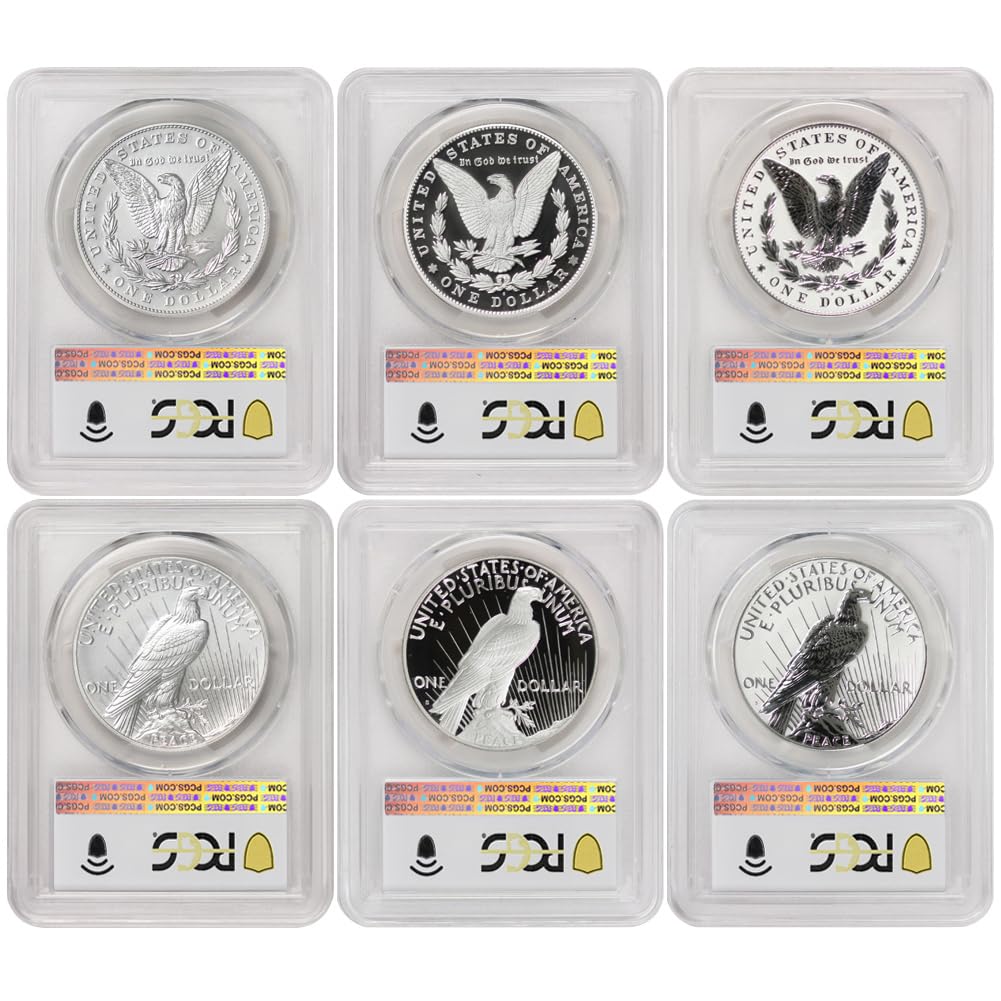 Set of 6 American Silver Morgan and Peace $1 Y862