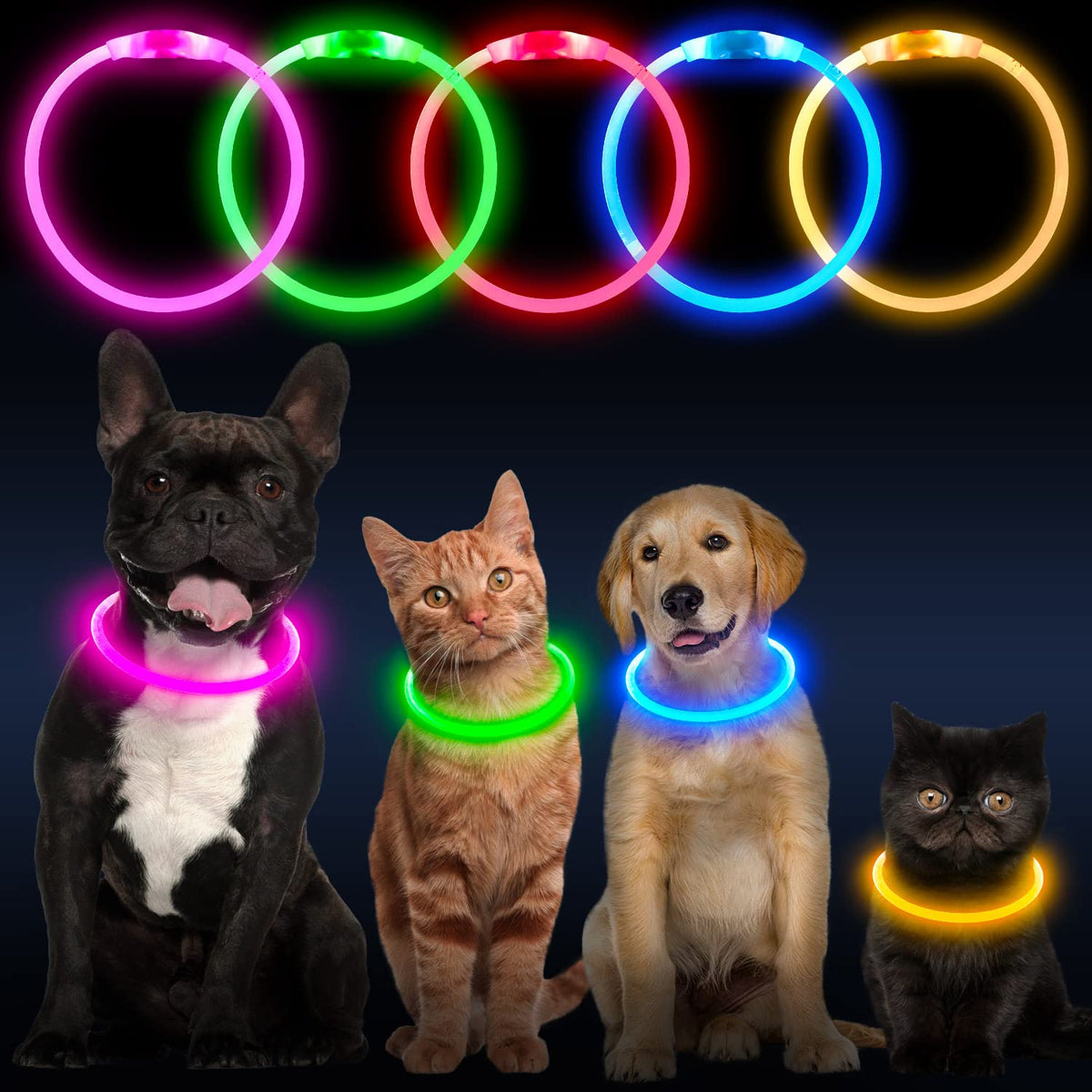 LED Dog Collar USB Rechargeable Green S522186