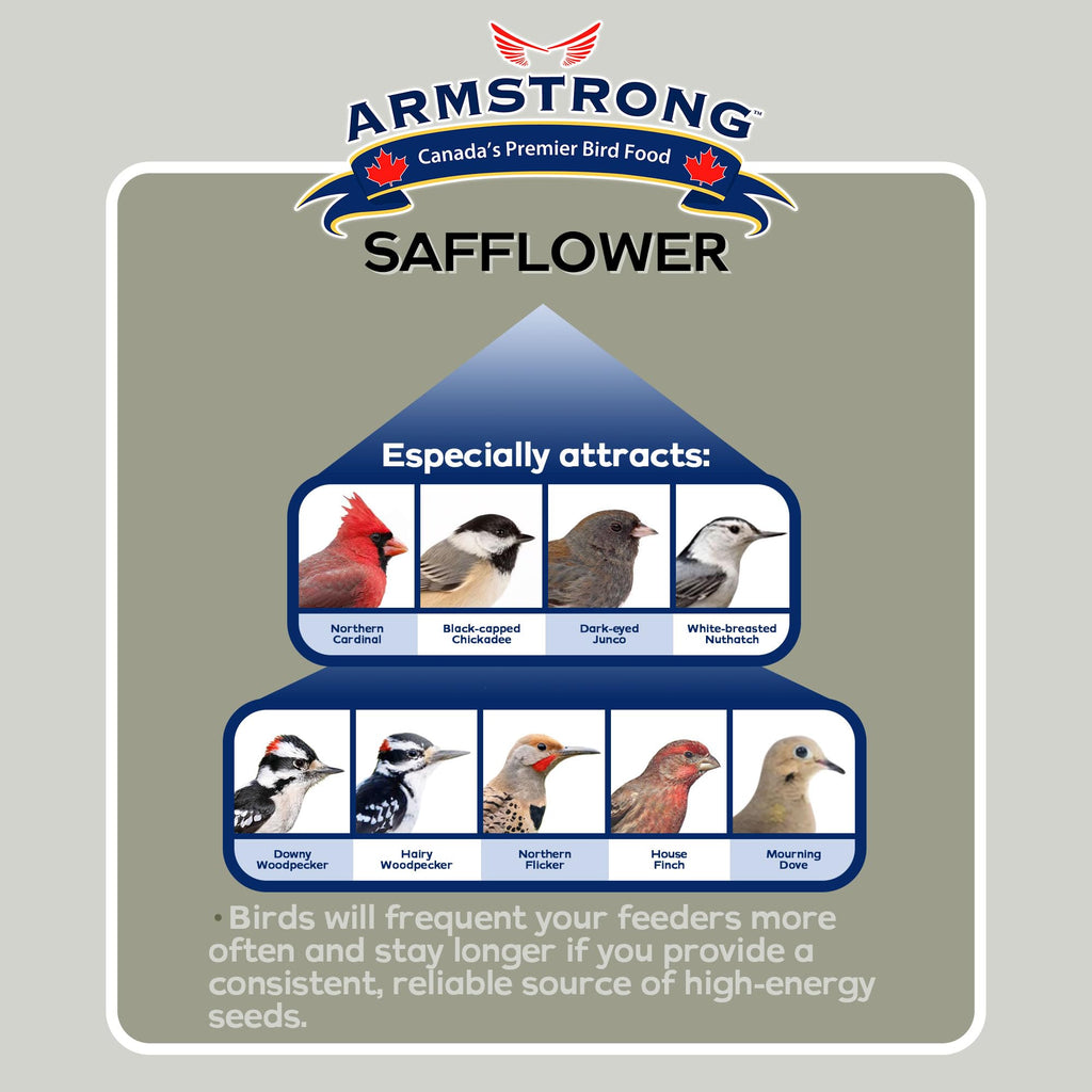 Safflower Bird Seed 20 Pounds Pack of 2 W1673