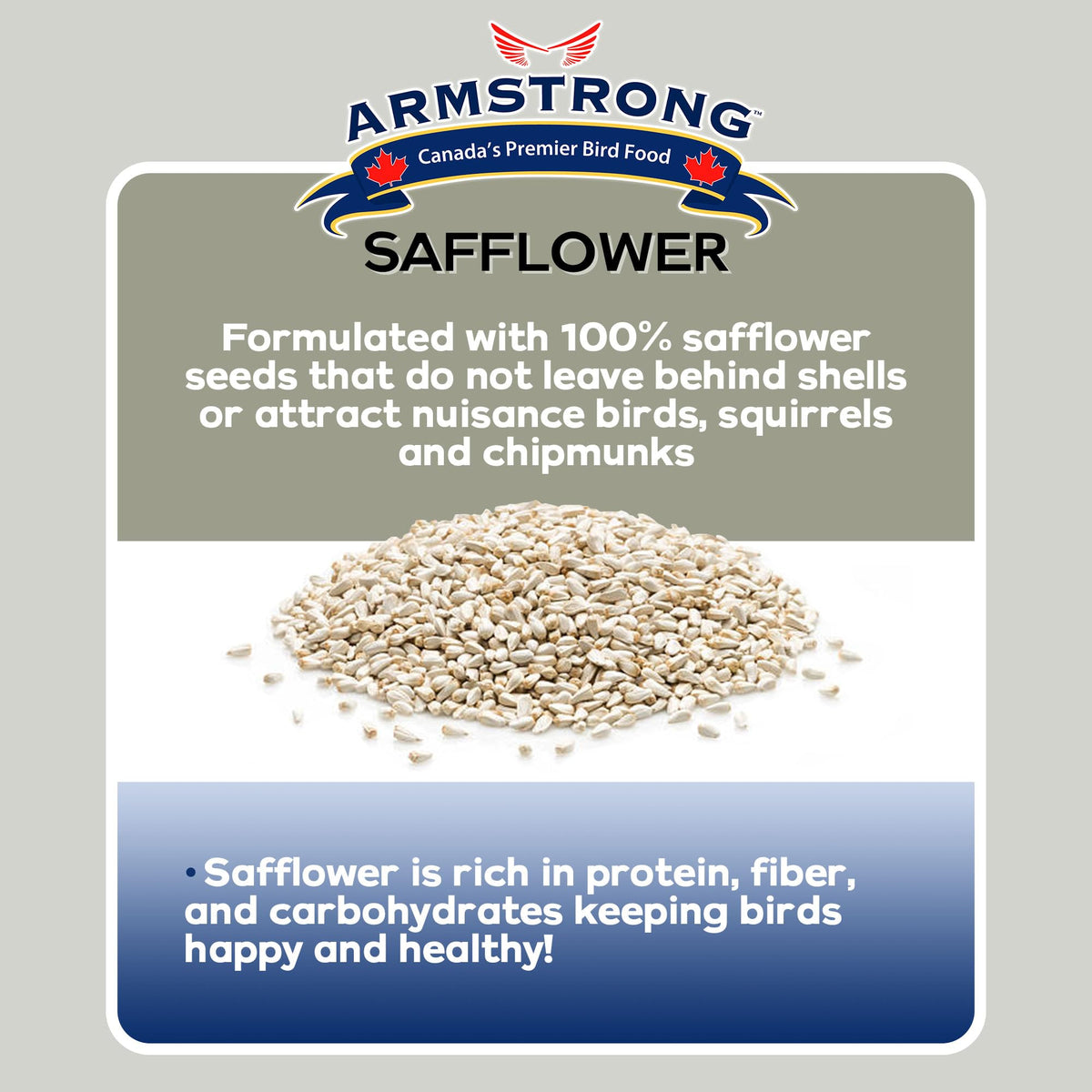 Safflower Bird Seed 20 Pounds Pack of 2 W1673
