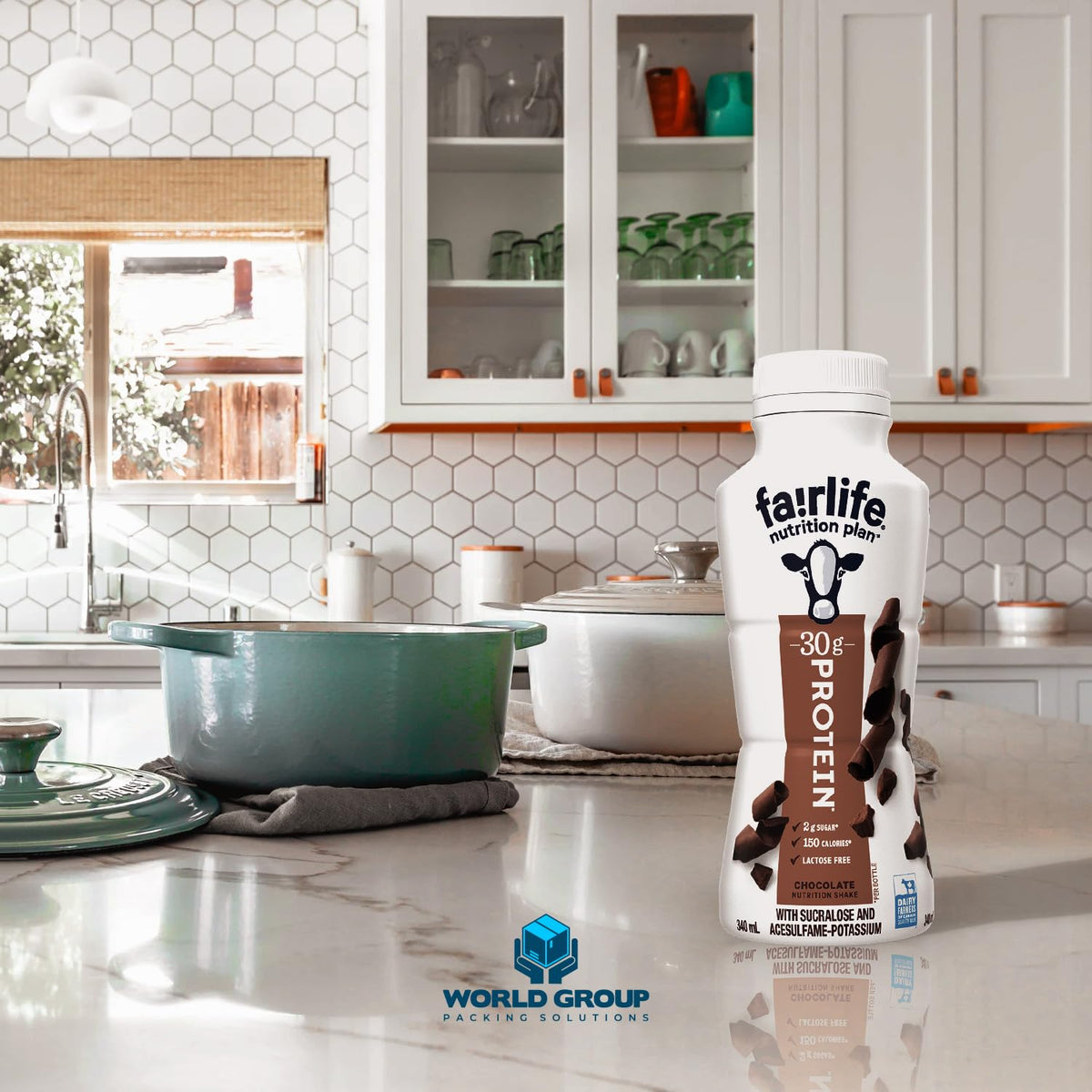 High Protein Chocolate Shake 11.5 Fl Oz (Pack of 12) Z190214