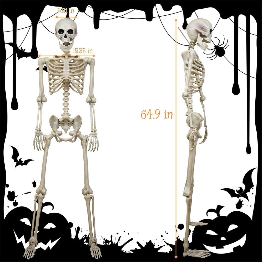 5.4ft Realistic Human Skeleton X20033
