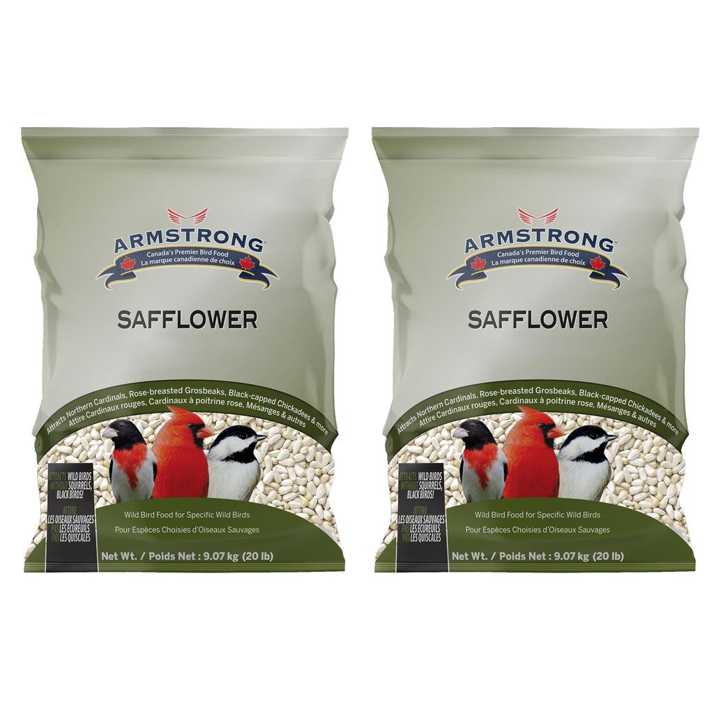 Safflower Bird Seed 20 Pounds Pack of 2 W1673