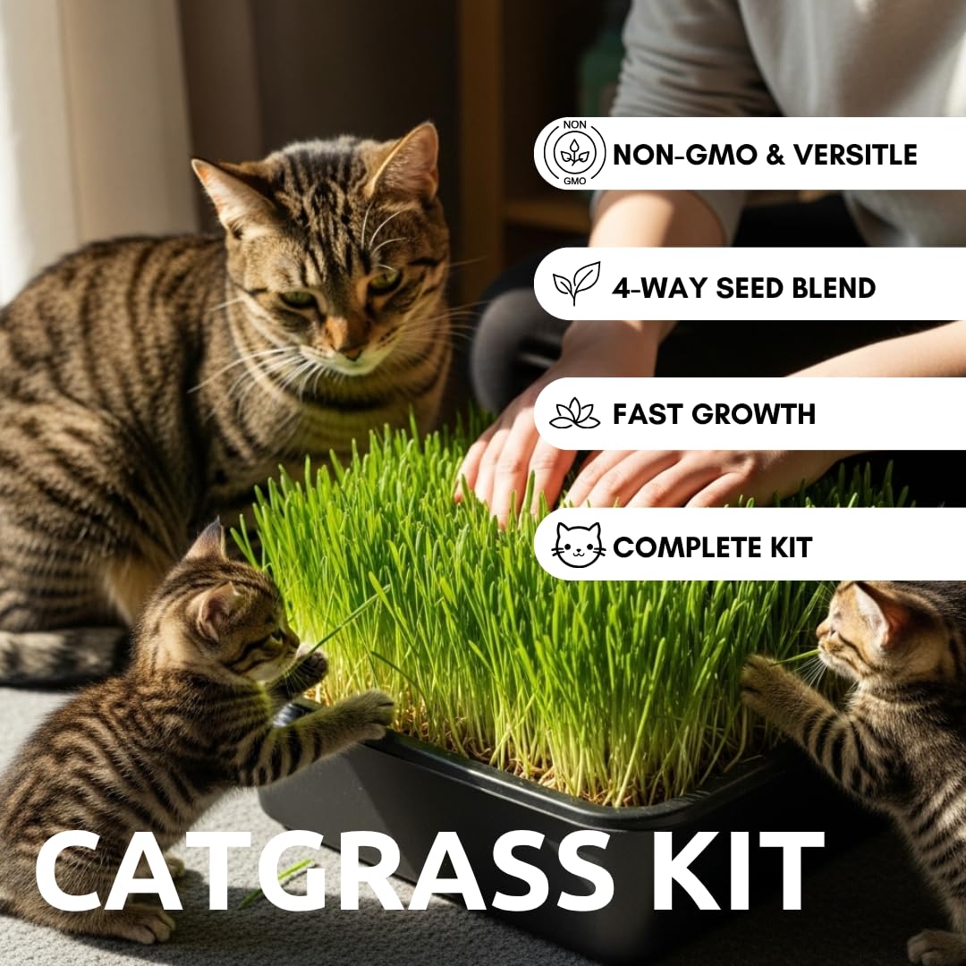 Cat Grass Growing Kit with Organic Seed and Jute Grow Mats Z954