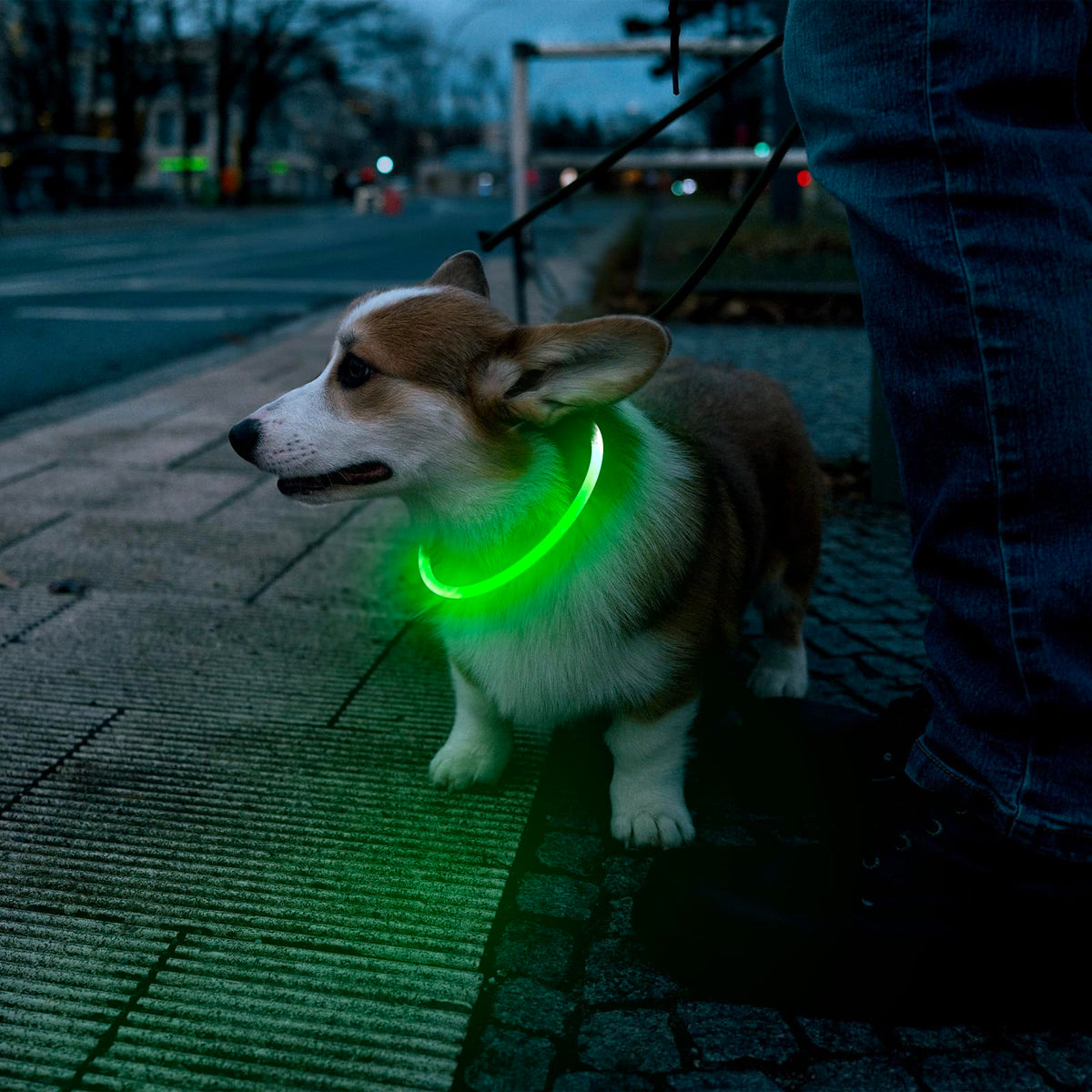 LED Dog Collar USB Rechargeable Green S522186