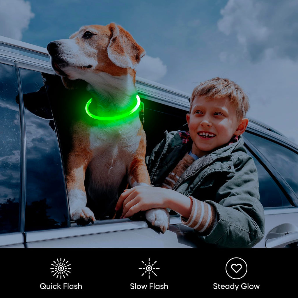 LED Dog Collar USB Rechargeable Green S522186