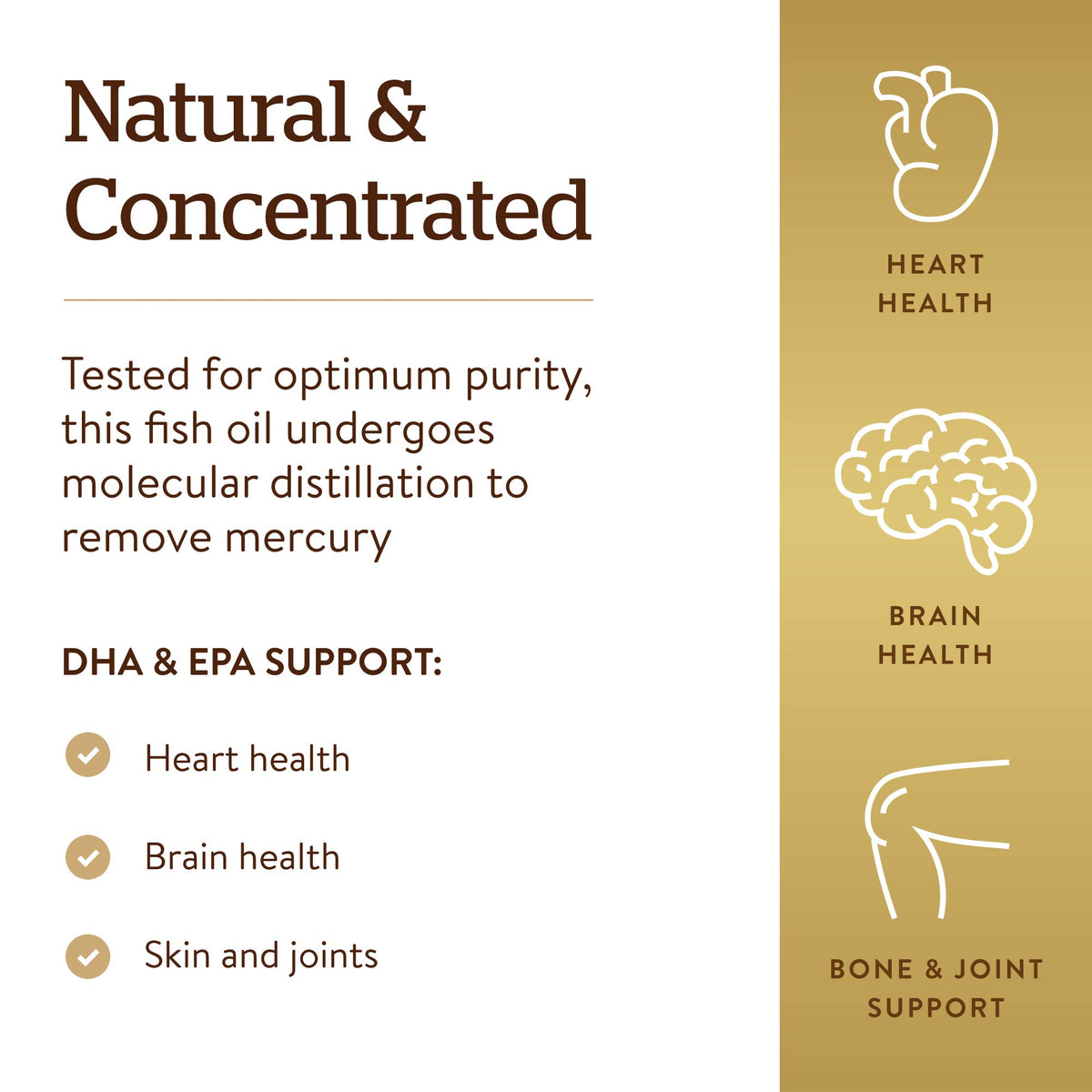 Omega-3 Fish Oil Concentrate 240 Softgels X141855