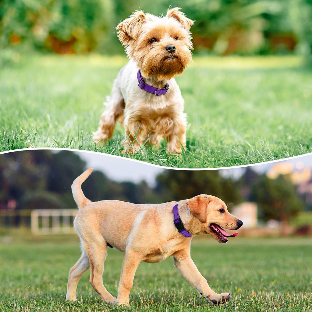 Reflective Adjustable Nylon Dog Collar L978