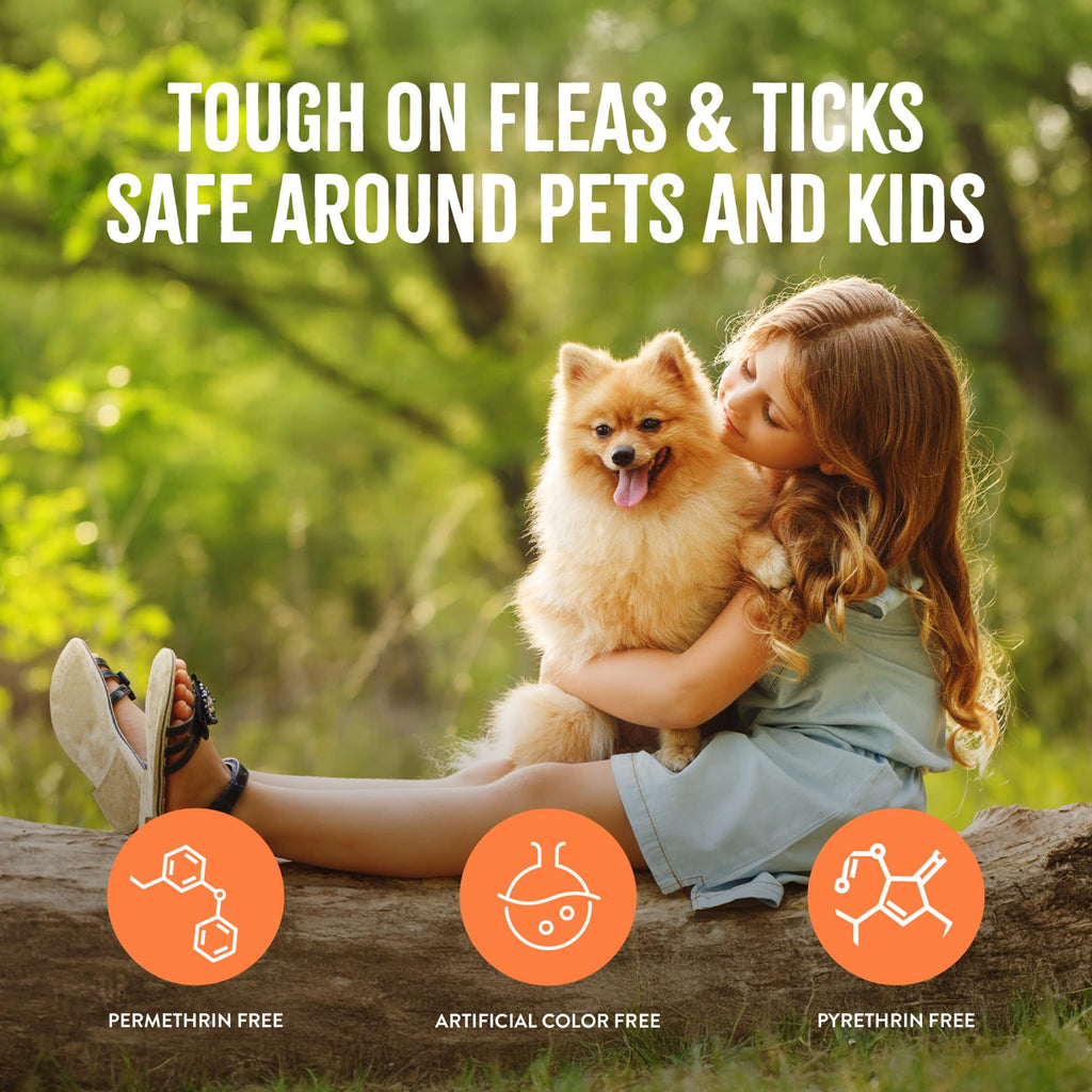 Soothing Flea and Tick Dog Shampoo 20oz R82612