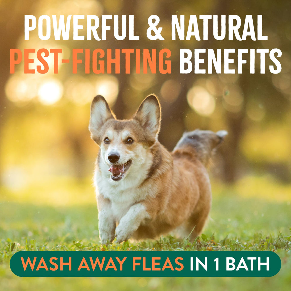 Soothing Flea and Tick Dog Shampoo 20oz R82612
