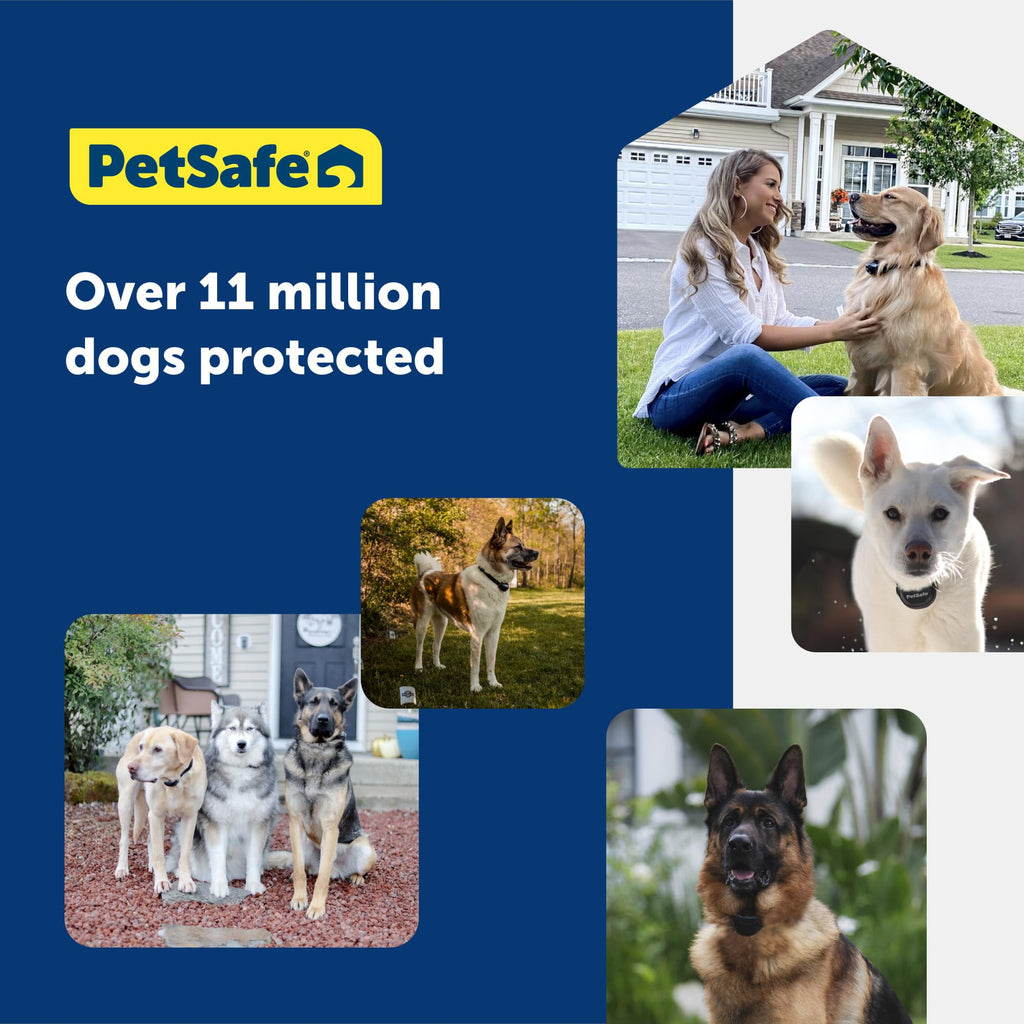 In-Ground Fence for 2 Dogs X9502