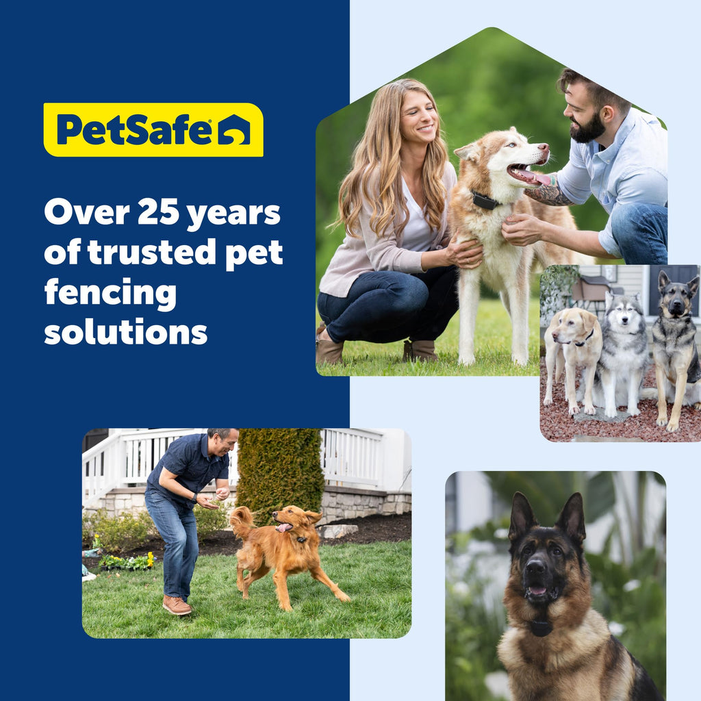 Rechargeable Wireless Fence Collar T893