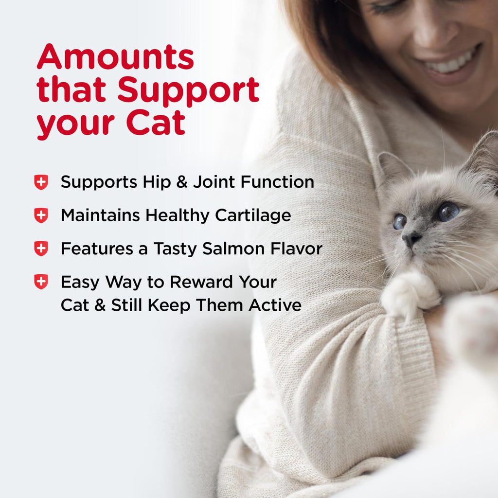 Cat Hip & Joint Supplement Glucosamine 3oz Y5881