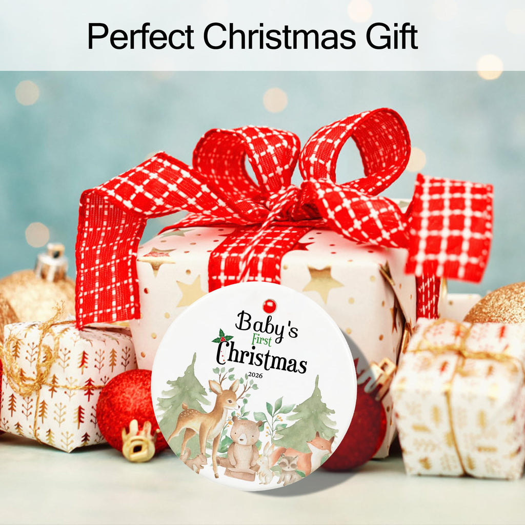 Baby's First Christmas Ornament 2026 F6929